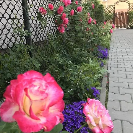 Kathia Gościnne Katowice