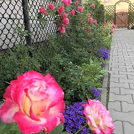 Kathia Goscinne Bed & Breakfast Katowice