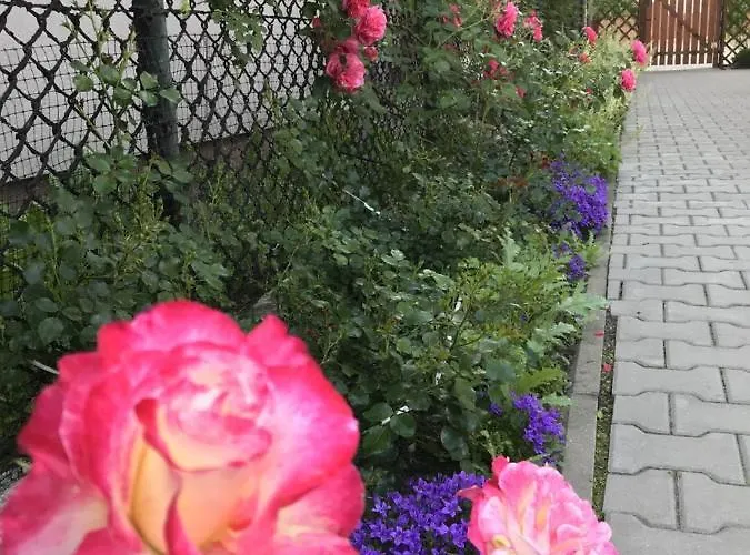 Kathia Goscinne Katowice